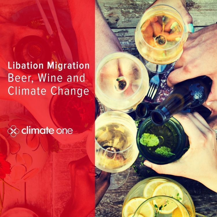 twitter Libation Migration