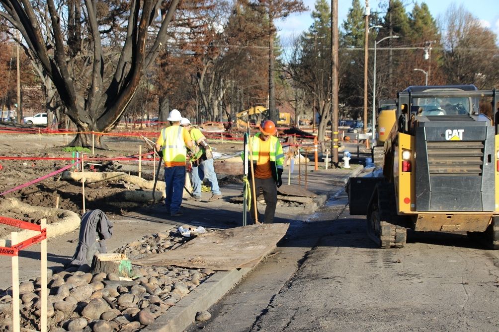 Wildfire recovery in Coffey Park