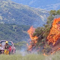 chaparral burn hopland evett kilmartin