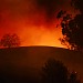 Hillside burning on Calistoga and Badger road