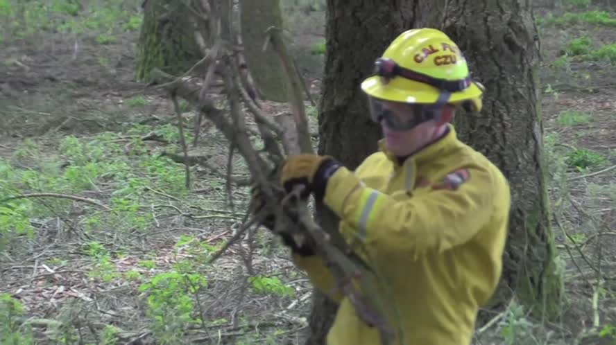 Bay Area Bountiful March 2021 Promo 2