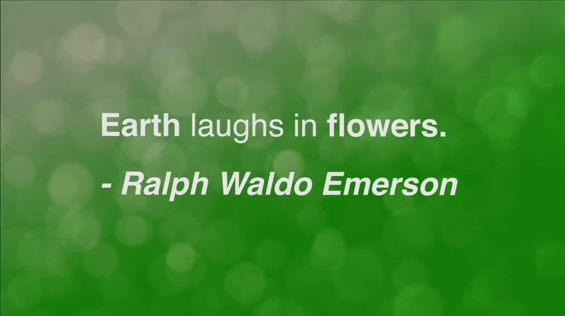 Earth laughs in