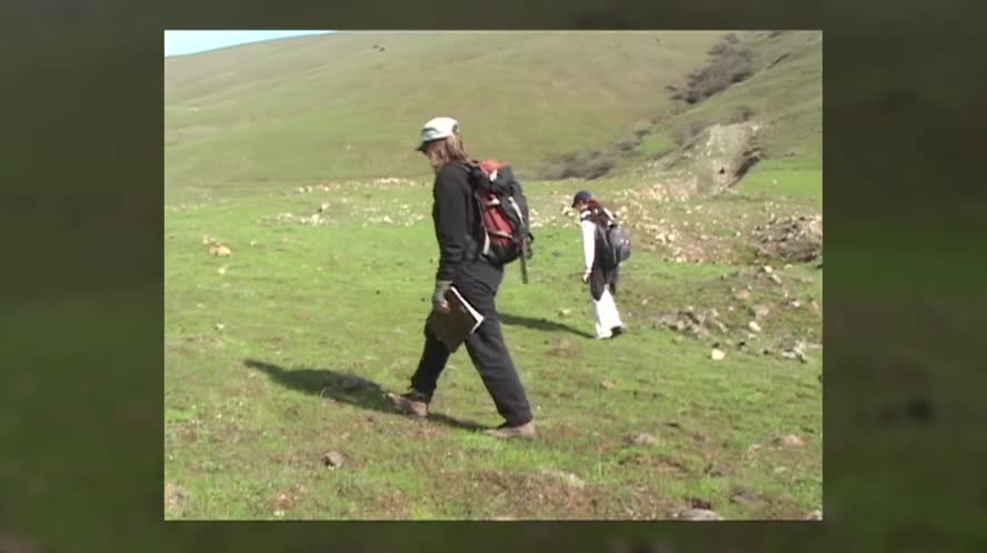 Bay Area Bountiful: Tracking Wildlife