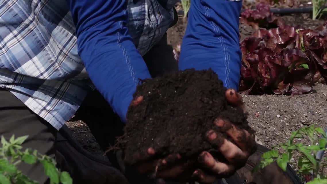 Singing the Praises of Compost