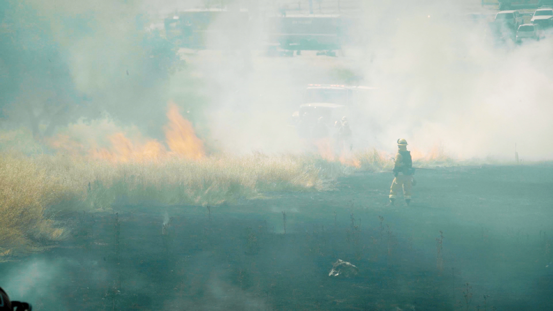 Bay Area Bountiful: Preparing for Fire