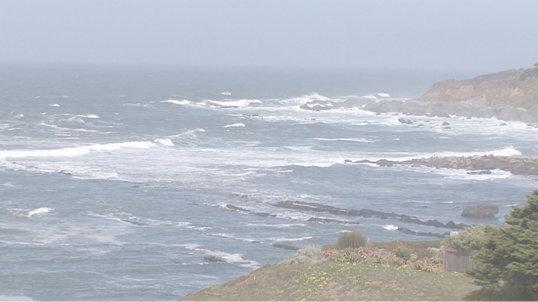 Pacific Beach Coalition