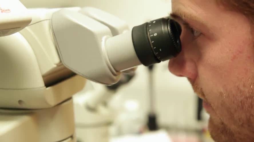 Stanford Smoke Research Short Story