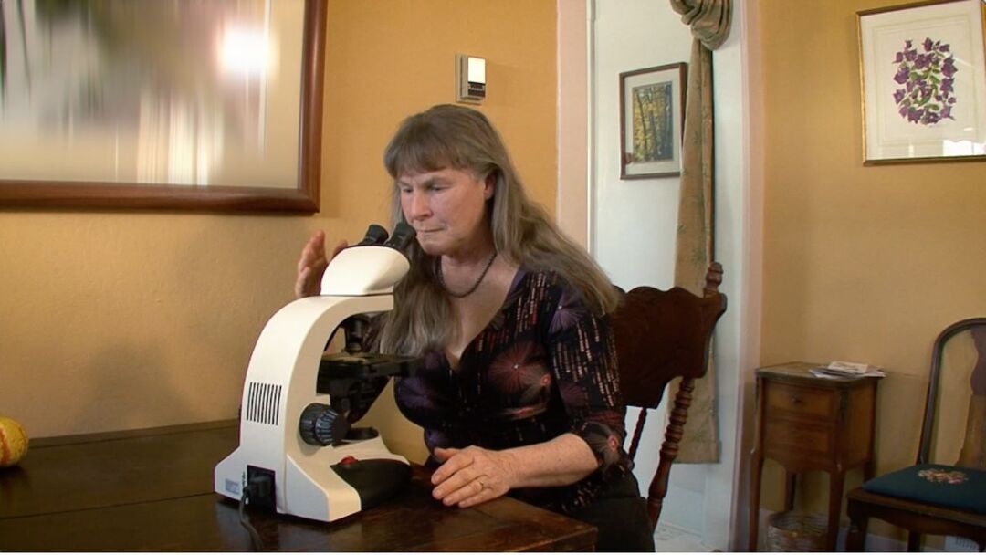 Bay Area Bountiful: The Worm Lady