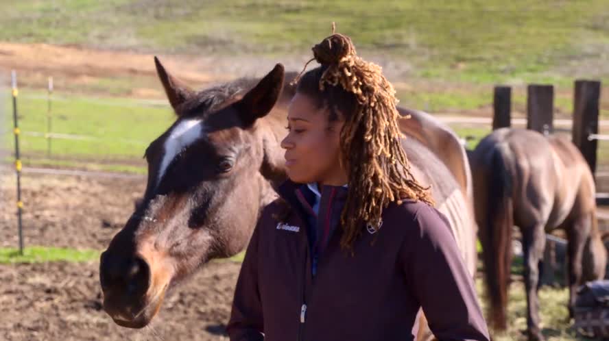 Bay Area Bountiful Short Story 3-5