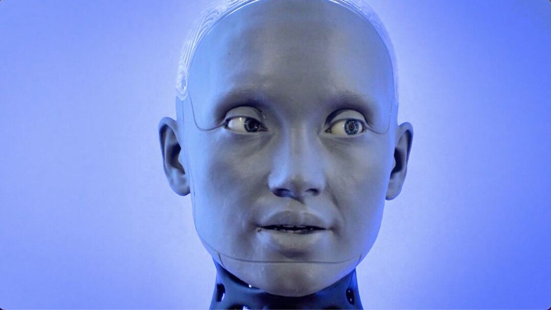 Connect the Bay: AI Chatbots Decoded