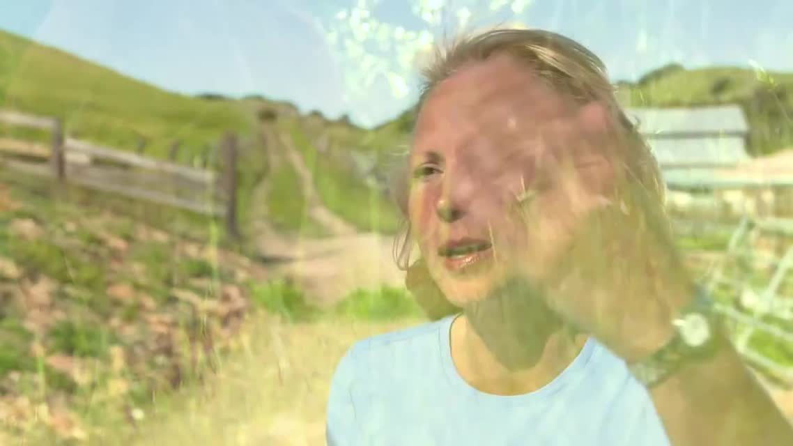 FarmShorts: Tara Firma Farms - Chickens