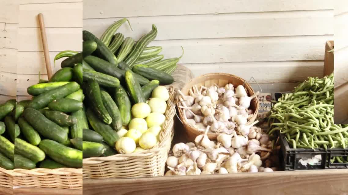 Lexicon of Sustainability:                 Community Supported Agriculture (CSA's)