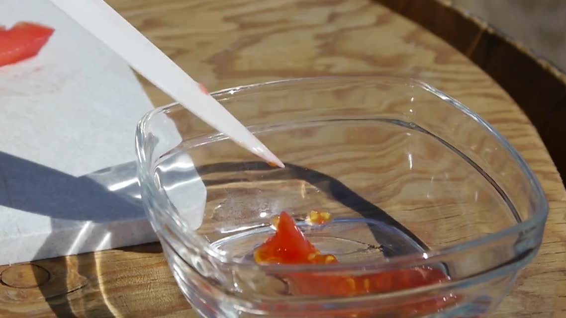 Seed Savers Exchange