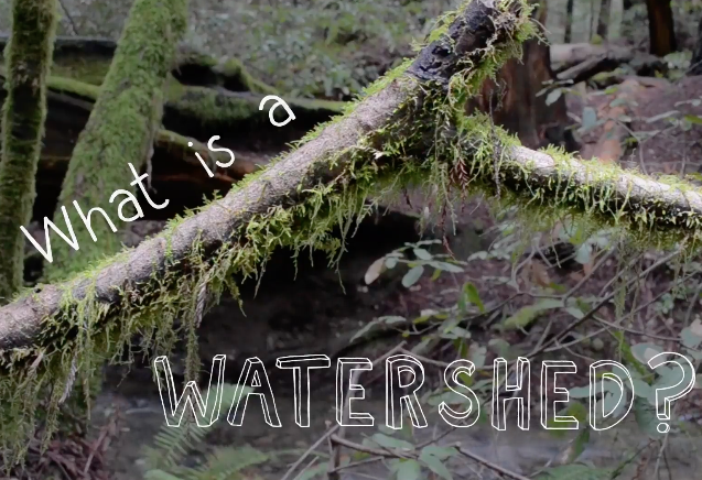 What is a Watershed?
