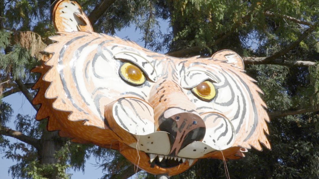 Arts Education: Theater at Analy High School