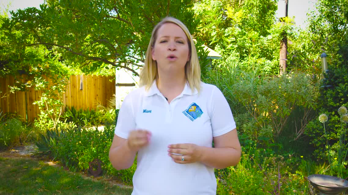 Drought Gardening Tips: Adding Compost